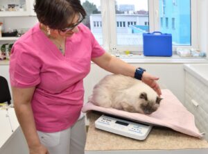www.naceradska.cz -Ošetření zubů v anestezii 1